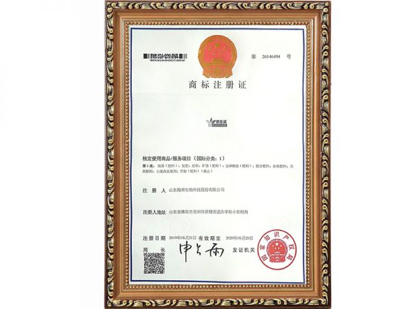 資質(zhì)證書(shū)